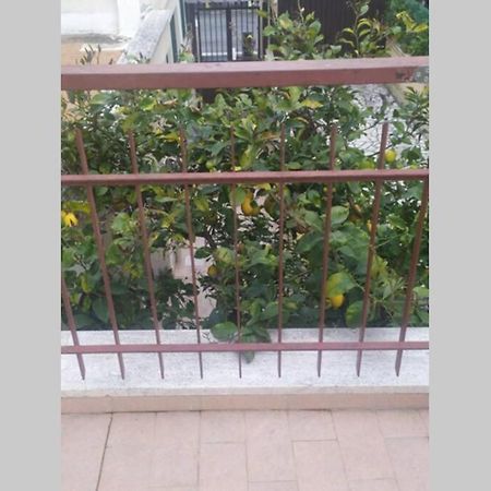 Apartamento Appto Limone Lido di Ostia Exterior foto