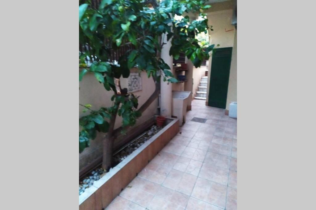 Apartamento Appto Limone Lido di Ostia Exterior foto
