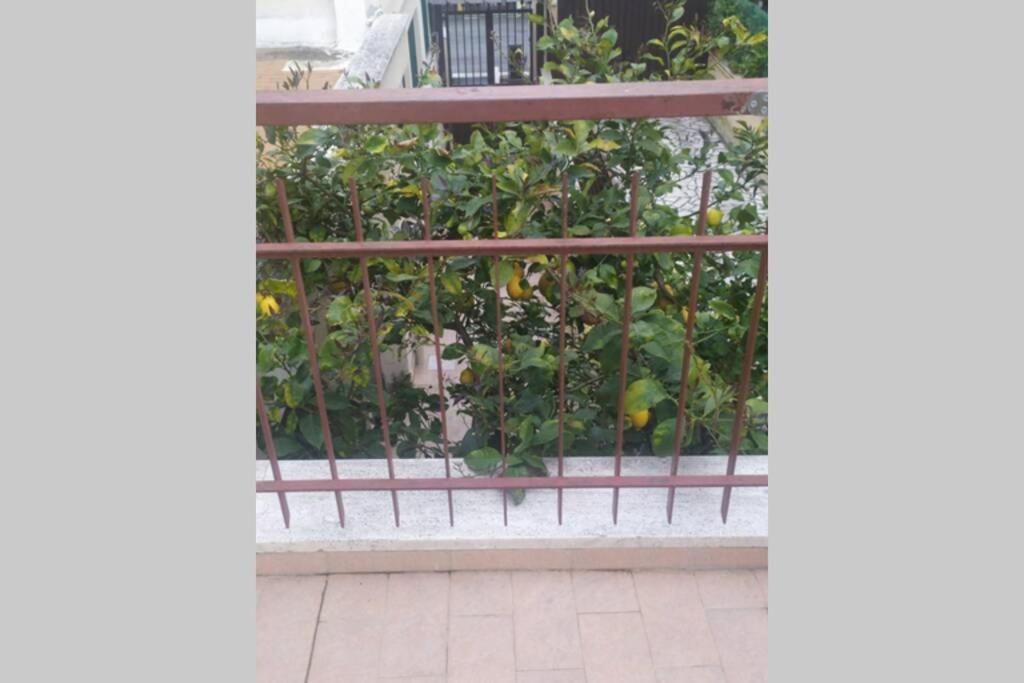Apartamento Appto Limone Lido di Ostia Exterior foto